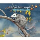 Tapa de About marsupials