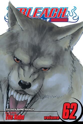 Tapa de Bleach Volume 62