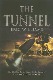 Tapa de The Tunnel