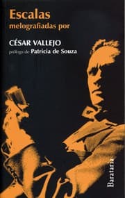 Tapa de Escalas melografiadas