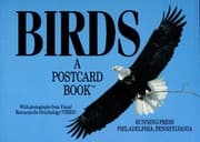 Tapa de Birds