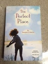 Tapa de The Perfect Place