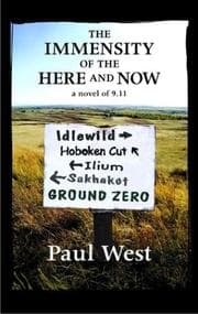 Tapa de The immensity of the here and now