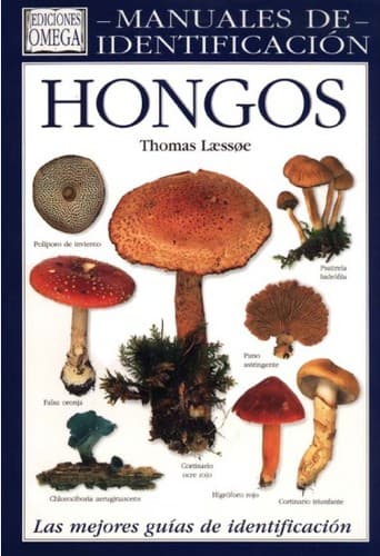 Tapa de Hongos