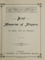 Tapa de Brief memories of Niagara