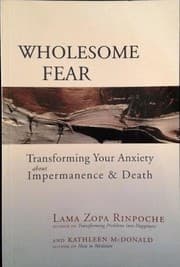 Tapa de Wholesome fear