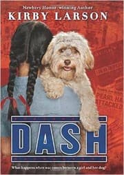 Tapa de Dash