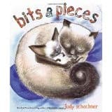 Tapa de Bits and Pieces