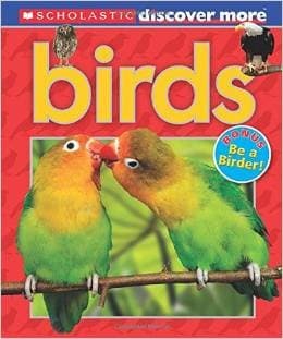 Tapa de Birds (Scholastic Discover More)