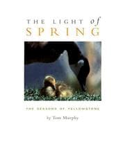 Tapa de The Light of Spring