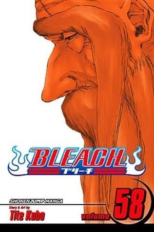 Tapa de Bleach Volume 58