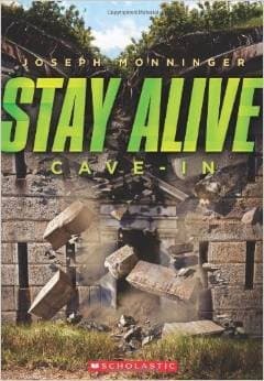 Tapa de Stay Alive