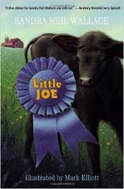 Tapa de Little Joe