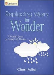 Tapa de Replacing Worry for Wonder