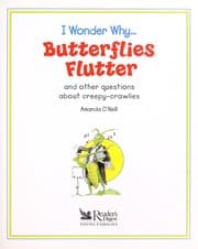 Tapa de I wonder why-- butterflies flutter