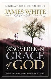 Tapa de The Sovereign Grace of God