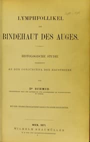 Tapa de Lymphfollikel der Bindehaut des Auges