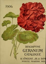 Tapa de Descriptive geranium catalogue