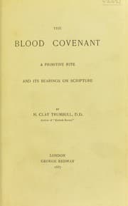 Tapa de The blood covenant