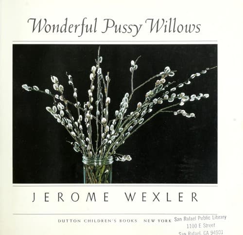 Tapa de Wonderful pussy willows