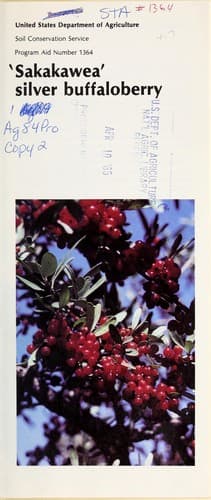Tapa de 'Sakakawea' silver buffaloberry