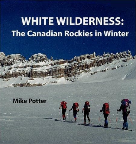 Tapa de White Wilderness