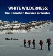 Tapa de White Wilderness