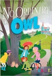 Tapa de No Ordinary Owl