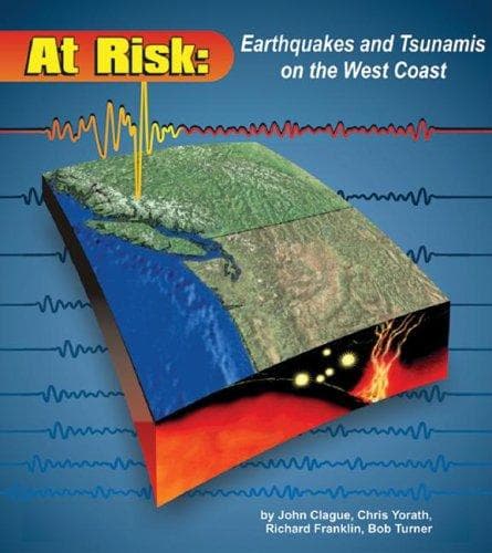 Tapa de At risk