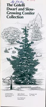 Tapa de The Gotelli dwarf and slow-growing conifer collection
