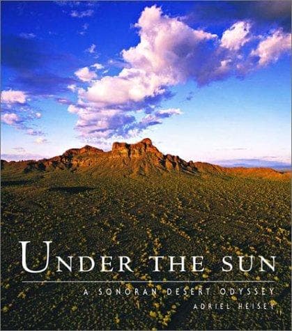 Tapa de Under the Sun