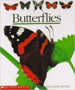 Tapa de Butterflies
