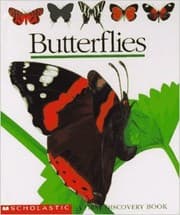 Tapa de Butterflies