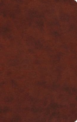 Tapa de Gift Bible ESV Trutone, Chestnut