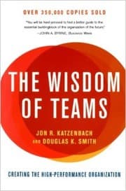 Tapa de The Wisdom of Teams