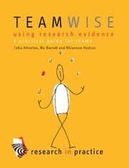 Tapa de Teamwise