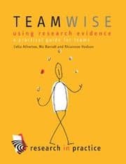 Tapa de Teamwise