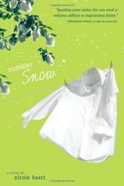 Tapa de Summer snow