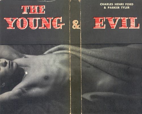 Tapa de The Young & Evil