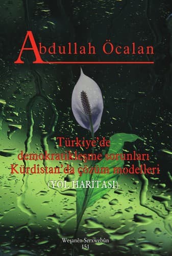 Tapa de Yol Haritası