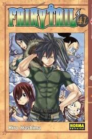 Tapa de Fairy Tail 41