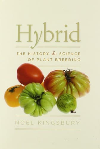 Tapa de Hybrid