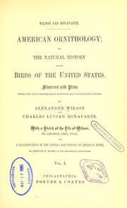 Tapa de American ornithology, or, The natural history of the birds of the United States