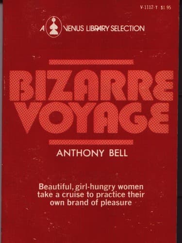 Tapa de Bizarre Voyage