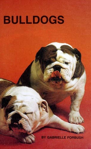 Tapa de Bulldogs