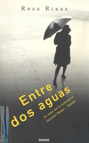 Tapa de Entre dos aguas