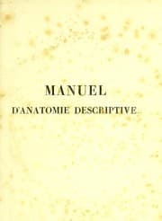 Tapa de Manuel d'anatomie descriptive du corps humain. Repr©♭sent©♭e en planches lithographi©♭es