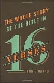 Tapa de The Whole Story of the Bible in 16 Verses