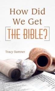 Tapa de How Did We Get the Bible