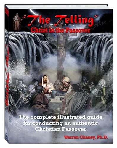 Tapa de The Telling